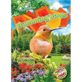 Hummingbirds