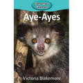 Aye-Ayes