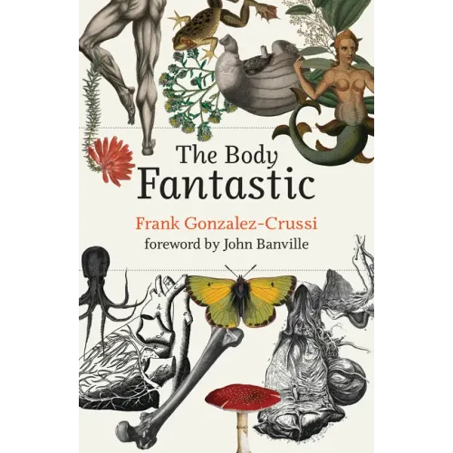 The Body Fantastic