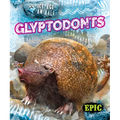 Glyptodonts