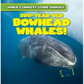 200-Year-Old Bowhead Whales!