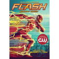 The Flash: Johnny Quick: (The Flash Book 2)