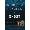 Instructions for Seeing a Ghost