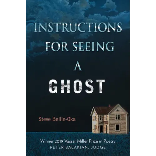 Instructions for Seeing a Ghost