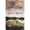 Sun Dogs