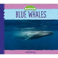Blue Whales
