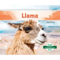Llama (Spanish Version)