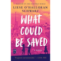 What Could Be Saved