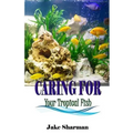 Caring for your Tropical Fish: All you have to know to care for tropical fish for beginners