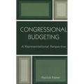 Congressional Budgeting: A Representational Perspective
