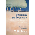 Polishing the Mountain, or Catching Balance Just in Time: Selected Poems 2008-2020
