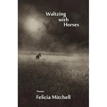 Waltzing with Horses