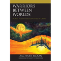 Warriors between Worlds: Moral Injury and Identities in Crisis