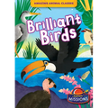 Brilliant Birds