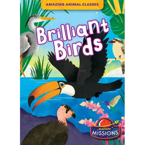 Brilliant Birds