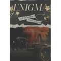 Enigma: A Winston Hills Novel