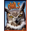 Owls
