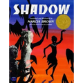 Shadow