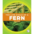 The Life Cycle of a Fern