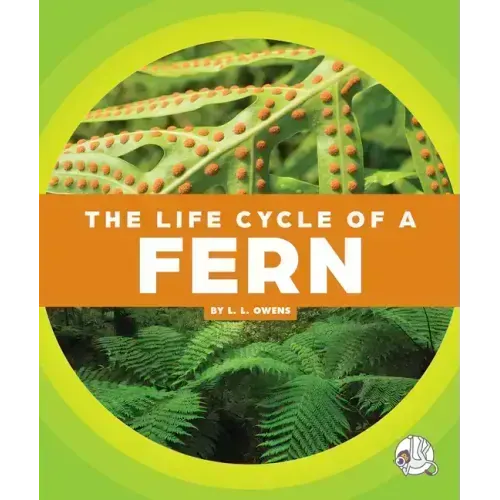 The Life Cycle of a Fern