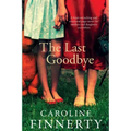 The Last Goodbye