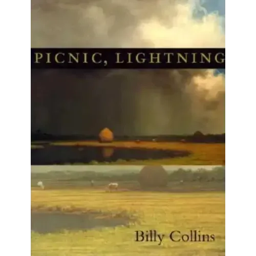 Picnic, Lightning