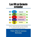Las 5S en formato estándar: Estos requerimientos están basados en los 5 pilares del área de trabajo visual de Hiroyuki Hirano