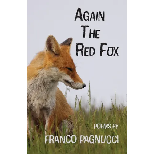 Again The Red Fox