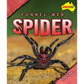 Funnel-Web Spider