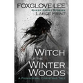 The Witch of the Winter Woods: Large Print: A Paranormal Christmas Tale