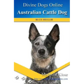 Australian Cattle Dogs: Divine Dogs Online