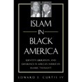 Islam in Black America: Identity, Liberation, and Difference in African-American Islamic Thought