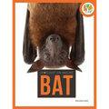 Bat