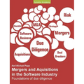 Mergers and Acquisitions in the Software Industry: Foundations of due diligence