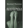 Boystown 6: From The Ashes