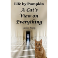 Life by Pumpkin: A Cat's View on Everything