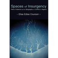 Spaces of Insurgency: Petro-Violence and the Geography of Conflict in Nigeria