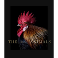 Estela de Castro: The Animals