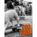 Dogtown: The Pups of Venice Beach and Their Humans