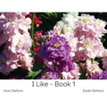 I Like - Book 1