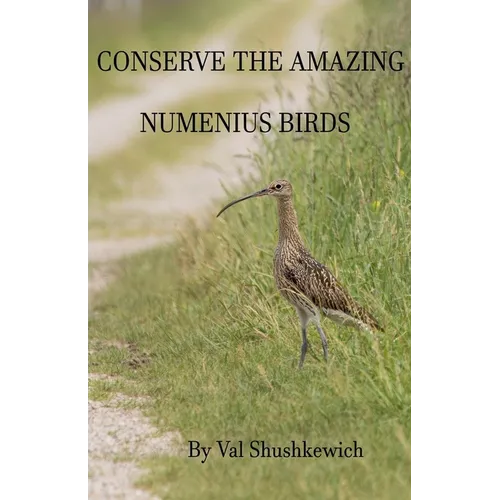 Conserve the Amazing Numenius Birds