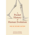 A Pocket History of Human Evolution: How We Became Sapiens