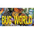 Bug World: A 3-D Pop-Up Book