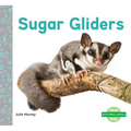 Sugar Gliders