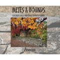 Metes & Bounds: Virginia's Walls and Fences in Photographs