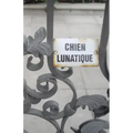 Chien Lunatique: Poems
