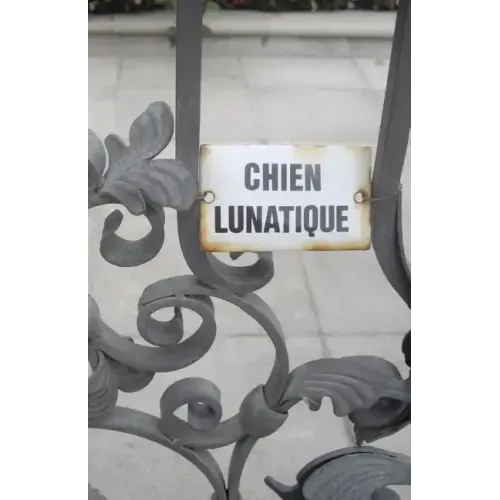 Chien Lunatique: Poems