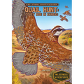 Quail Hunt: Covey Rise in Kansas: Covey Rise in Kansas