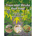 Trees and Shrubs That Heal: Reconnecting with the Medicinal Forest