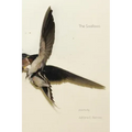 The Swallows